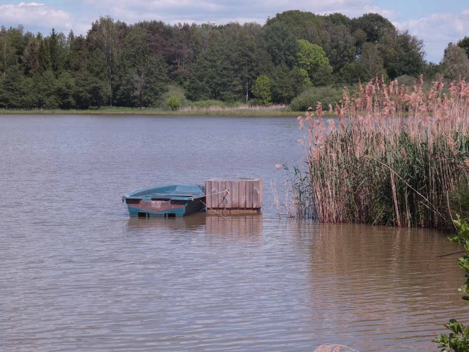 Balade au Malsaucy&nbsp;(90)