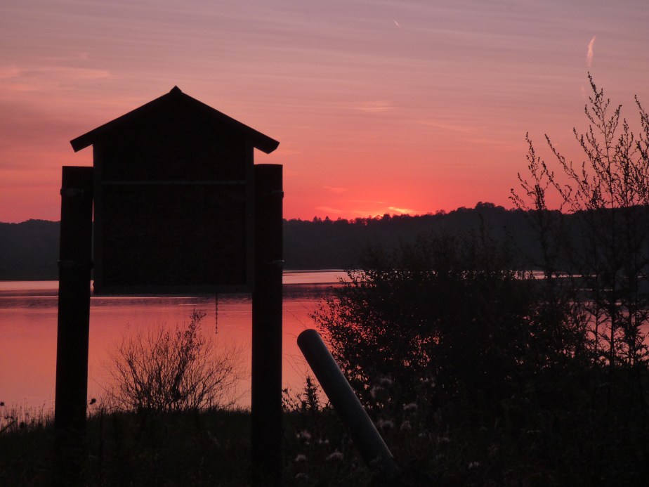 Soir d&rsquo;été au bassin de&nbsp;Champagney