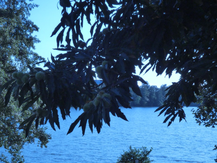 Fin d&rsquo;été aux&nbsp;Ballastières